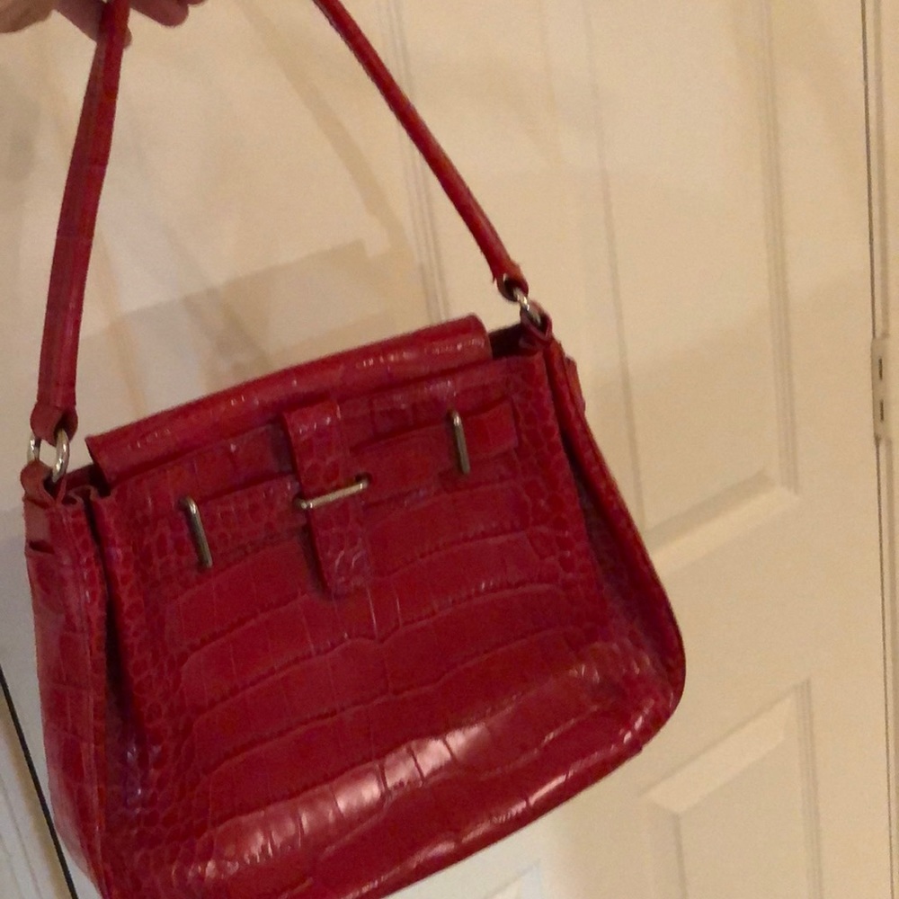 Red Alligstor bag!